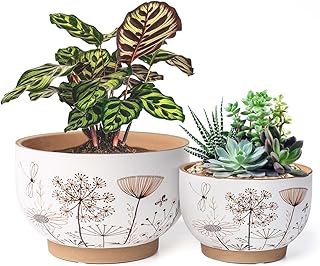 YBX 8 Inch + 6 Inch Ceramic Plant Pots, Succulent Flower Pots with Drainage Holes, Terracotta Planters for Indoor Plants, White&Terracotta (Garden)