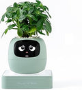 PLANTSIO Smart pet Planter Robot Guidance on Plant Care with Emojis, Adorable Plant Companion with Rich Gesture Interaction, Neat Desk Setup Gift (Green)