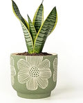Succulent Pots 6 Inch, Plant Pot for Plants with Drainage Hole, Green Ceramic Planter Modern Floral Pattern, Round Flower Pots for Indoor Plants and Snake Plants - 1 Pack