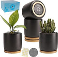 4 Inch Ceramic Plant Pots with Drainage Holes, Adorable Flower Planter Pot with Tray for Indoor Plants, Succulent, Snake Plants, Cactus & Herbs, Black, Set of 4 (Plant Not Included)