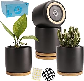 4 Inch Ceramic Plant Pots with Drainage Holes, Adorable Flower Planter Pot with Tray for Indoor Plants, Succulent, Snake Plants, Cactus & Herbs, Black, Set of 4 (Plant Not Included)