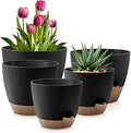Plant Pots 10/9/8/7.5/7 Inch Self Watering Pots, Set of 5 Plastic Planters with Drainage Holes and Saucers,Plastic Flower Pots,Nursery Planting Pot for Indoor Out Door Plants(Black Brown)