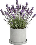 Ekirlin 7 Inch Flower Plant Pot Indoor, Natural Grey Cement Planters Concrete Planter with Drain Hole Saucer Tray, Modern Succulents Containers, Garden Pots for Home Decor, Outdoor & Garden Plants