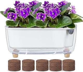 Oliz Self Watering Planter with Coco Coir Pellets, 11.8 Inch Plastic Rectangular Windowsill Plant Pot with Drainage Holes, High Clear Modern Decorative Flower Pot for Indoor Plants, African Violets