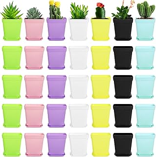 Hedume 70 Pack Mini Plastic Flower Seedling Nursery Pot with Pallet, 3" Colorful Square Plant Pot, Indoor Outdoor Flower Plant Container, Decor for Room, Garden, Office and Balcony (7 Colors)