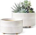 LE TAUCI Succulent Planters, 6.5+8 Inch Ceramic Indoor Plant Pot with Drainage Hole, Shallow Round Succulent Pots, Set of 2, Reactive Glaze White