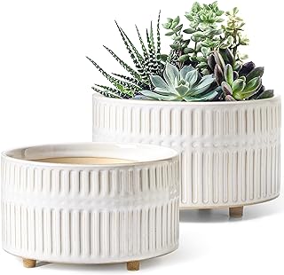 LE TAUCI Succulent Planters, 6.5+8 Inch Ceramic Indoor Plant Pot with Drainage Hole, Shallow Round Succulent Pots, Set of 2, Reactive Glaze White