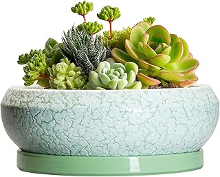 Succulent Pot 6 Inch - Ceramic Bonsai Pots Indoor Outdoor, Shallow Plant Pots with Drainage Hole and Saucer, Small Bonsai Planter, Round Bowl Planter, Desk Decor, Housewarming Gifts, Green