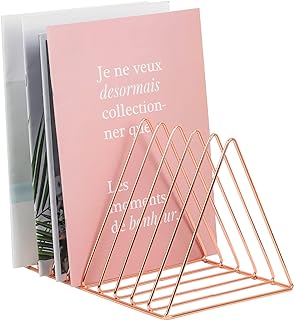 EASEPRES Rose Gold Magazine Holder, Desktop File Sorter Organizer Triangle 9 Slot Newspaper Record Storage Shelf Rack for Home Office Decoration