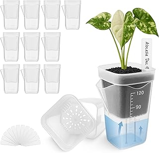 12 Pack 2" Mini Self Watering Pots for Indoor Plants,Small Clear Plastic Planters,Alocasia Corm Propagation,African Violet,Cutting,Seeding,Water Level Indicator,Drainage Hole,12 Plant Label