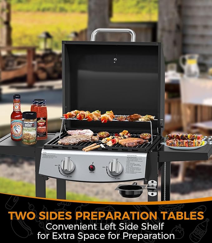 Electactic 2-Burner Propane Gas BBQ Grill, 20,000 BTU Stainless Steel Grill with Side Shelves and Wheels, Portable Outdoor Grill for Patio, Backyard, Garden, or Camping Cooking