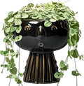 Head Planter 7 Inch - Ceramic Face Planters with Drainage Hole, Funny Succulent Pots for Indoor Outdoor, Cute Decorative Plant Pot, Desk Office Room Home Decor, Black