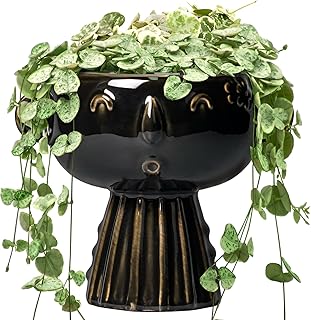Head Planter 7 Inch - Ceramic Face Planters with Drainage Hole, Funny Succulent Pots for Indoor Outdoor, Cute Decorative Plant Pot, Desk Office Room Home Decor, Black