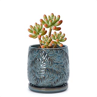 D'vine Dev 4 Inch Embossed Leaves Stoneware Planter Pot with Drainage Hole and Saucer, Ocean Teal, 27-A-Z-8