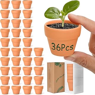 T4U Mini Terracotta Pots (36pcs): 2 Inch Small Clay Pots with Drainage Holes, Ideal for Succulent Cactus Plants, DIY Crafts, Home Decor