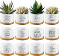 Fumete 12 Pcs Bible Verse Succulent Pots with Tray Drainage, 3 x 2 in Inspirational Mini Ceramic Flower Planter Christian Religious Gifts for Women Men Teacher Guest Staff Church(Scripture Series)