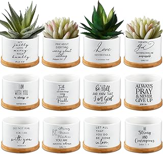 Fumete 12 Pcs Bible Verse Succulent Pots with Tray Drainage, 3 x 2 in Inspirational Mini Ceramic Flower Planter Christian Religious Gifts for Women Men Teacher Guest Staff Church(Scripture Series)