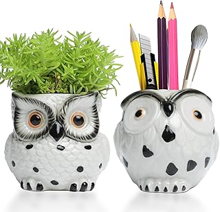 Owl Ceramic Planters Mini Plant Pots 3Inch With Drainage Pen Pencil Holder Cute Decor Flower Planters Gift Packaging Herb Cactus Plant Pots Air Plant Kitchen Window Gardening Starter Set Teacher Gifts