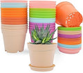 SwinDuck 4 inch Plant Pots, 28 Pack Small Plastic Planters with Drainage Holes and Saucers for Flowers Plants, Succulents, Seed Starting Pots, Colorful