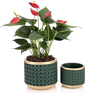 6&4.4 Inch Cement Planter Decorative Pots with Drainage Hole for All House Plants, Succulents, Flowers, and Cactus (Gold Green)