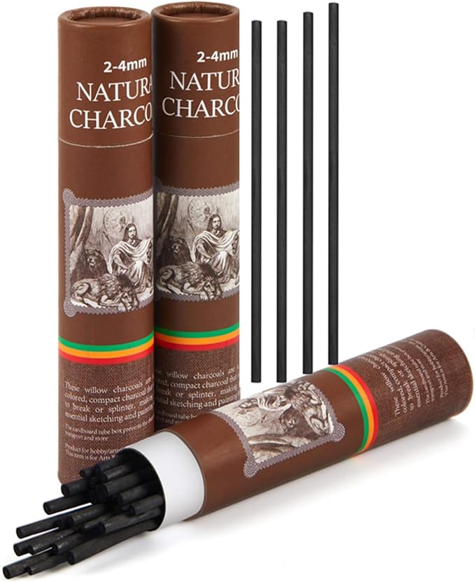 Gueevin 50 Pcs Willow Charcoal Sticks, Willow Charcoal, Artists, Beginners, Students, Perfect for Sketching, Drawing, Shading, and Fine Art Christmas Gifts for Art (2-4mm)