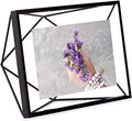 Umbra Prisma 4x6 Picture Frame, Metal Floating Wall or Desk Photo Display for Pictures, Art, Illustrations, and More, Black