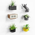 upsimples 6 Pack 6x4 Inches Acrylic Small Shelves, Floating Shelves for Wall, Display Shelf Organizer for Plants, Speaker, Radio, Toys, Clear
