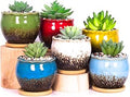 ARTKETTY Succulent Pots - 4 Inch Ceramic Succulent Planters with Drainage Tray Set of 6, Small Cactus Pots for Indoor Plants Colorful Flower Plant Pots for Desk Windowsill