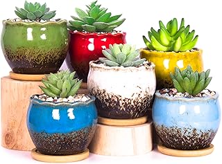 ARTKETTY Succulent Pots - 4 Inch Ceramic Succulent Planters with Drainage Tray Set of 6, Small Cactus Pots for Indoor Plants Colorful Flower Plant Pots for Desk Windowsill