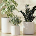 LE TAUCI Ceramic Pots for Plants, 10/8/6 Inch Indoor Planters with Draiange Hole, Silicone Plug & Mesh Pad, Modern Minimalist Pots for Home Office, Set of 3, Satin, White