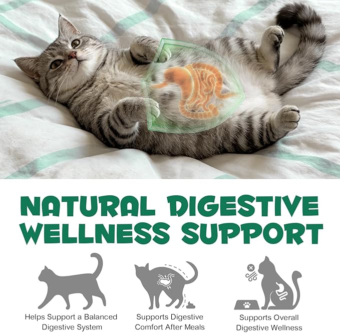 AIQIUSHA Activated Charcoal for Dogs & Cats, 120g Pure Charcoal Powder for Pets & Livestock – Daily Digestive Support, Helps Maintain Normal Stool, Single Ingredient, Non-GMO, Gluten Free