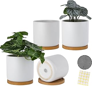 4 Inch Ceramic Plant Pots with Drainage Holes and Trays, Adorable Small Cylinder Flower Planter Pot with Saucers for Indoor Plants, Succulent, Snake Plants, Cactus & Herbs, White, Set of 4
