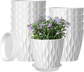 10 Pack 5 Inch Plant Pots with Drainage and Saucers, White Plastic Flower Pots for Indoor and Outdoor Plants, Stackable Nursery Planters for Houseplants and Herbs, White