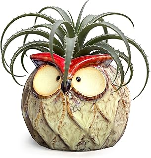 GeLive Owl Succulent Pot Ceramic Cactus Planter with Drainage Hole, Cute Small Plant Container for Desk Windowsill Tabletop Decor Pen Holder (No Plants)