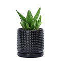 D'vine Dev 4 Inch Ceramic Beaded Stoneware Planter Pot - Flower Pot with Drainage Holes and Saucers for Indoor Succulent Plants or Flowers, Glossy Black, 27-C-Z-2