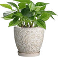 MPotTo 6.9 Inch Plant Pot with Drainage Hole and Saucer Ceramic Planter for Indoor Plant Flower Pot for Orchid Succulents Plants White