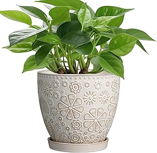 MPotTo 6.9 Inch Plant Pot with Drainage Hole and Saucer Ceramic Planter for Indoor Plant Flower Pot for Orchid Succulents Plants White
