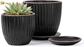 D'vine Dev Set of 2 Stoneware Planter Pots, Ceramic Pot with Drainage Hole and Saucers, 4.5 Inch 5.8 Inch, Black, 99-D-2