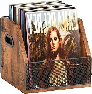Homeiju Vinyl Record Storage, Record Box Case Crate, Vinyl Record Album Holder, Desktop Metal & Wooden LP Record Crate, Holds up to 60 Records（Patent No.D1024563