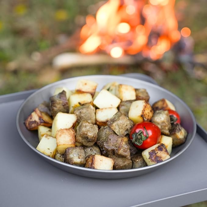 Pure Titanium Camping Plate, 7.68 Inch Ultralight Durable Titanium Dish Plate Cookware, Outdoor Backpacking plate for Camping Hiking Kitchen (19.5 cm)