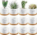 Fumete 12 Pcs Bible Verse Succulent Pots with Tray Drainage, 3 x 2 in Inspirational Mini Ceramic Flower Planter Christian Religious Gifts for Women Men Teacher Guest Staff Church(Affirmation Series)
