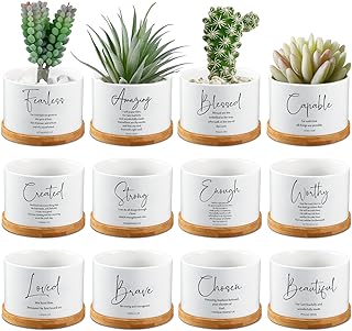 Fumete 12 Pcs Bible Verse Succulent Pots with Tray Drainage, 3 x 2 in Inspirational Mini Ceramic Flower Planter Christian Religious Gifts for Women Men Teacher Guest Staff Church(Affirmation Series)