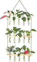 XXXFLOWER Wall Hanging Propagation Station with Wooden Stand 5 Glass Test Tubes 3 Tiers Planters Wall Terrarium for Home Office Plant Hanger Flower Vases Wall Decor Hydroponic Cuttings