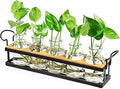 THYGIFTREE Plant Propagation Stations with Metal Stand, Tabletop Plant Terrarium for Propagating Hydroponic, Retro Glass Planter Flower Vase Home Kitchen Office Decor Gifts, 5 Jars