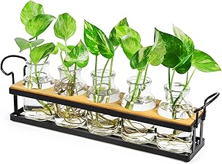 THYGIFTREE Plant Propagation Stations with Metal Stand, Tabletop Plant Terrarium for Propagating Hydroponic, Retro Glass Planter Flower Vase Home Kitchen Office Decor Gifts, 5 Jars