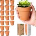 T4U Small Clay Pots for Crafts (20pcs): Mini Terracotta Pots 3 Inch with Drainage Holes, Terra Cotta Pots for Succulent Cactus Plants, DIY Mini Terracotta Pots, Idea Gifts for Party Decor