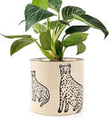STHIE 5 Inch Ceramic Planters for Indoor Plants, Funny Small Plant Pots with Drainage, Unique Decorative Cute Flower Pot Panthers Round Flowerpots