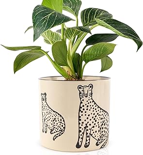 STHIE 5 Inch Ceramic Planters for Indoor Plants, Funny Small Plant Pots with Drainage, Unique Decorative Cute Flower Pot Panthers Round Flowerpots