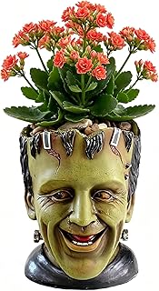 Funny Planters Head Planter for Indoor Plants, Succulent Pot with Drainage Hole Fairy Garden Resin Cactus Pencil Holder Desk Storage Gift for Women Men Plant Pot