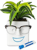 30 Watt Face Plant, Novelty Planter Holds Small Plants, Glasses & You Can Draw on It. Elegant Ceramic Pot for Succulents, Cacti or Your Average Fern, Perfect Gifting